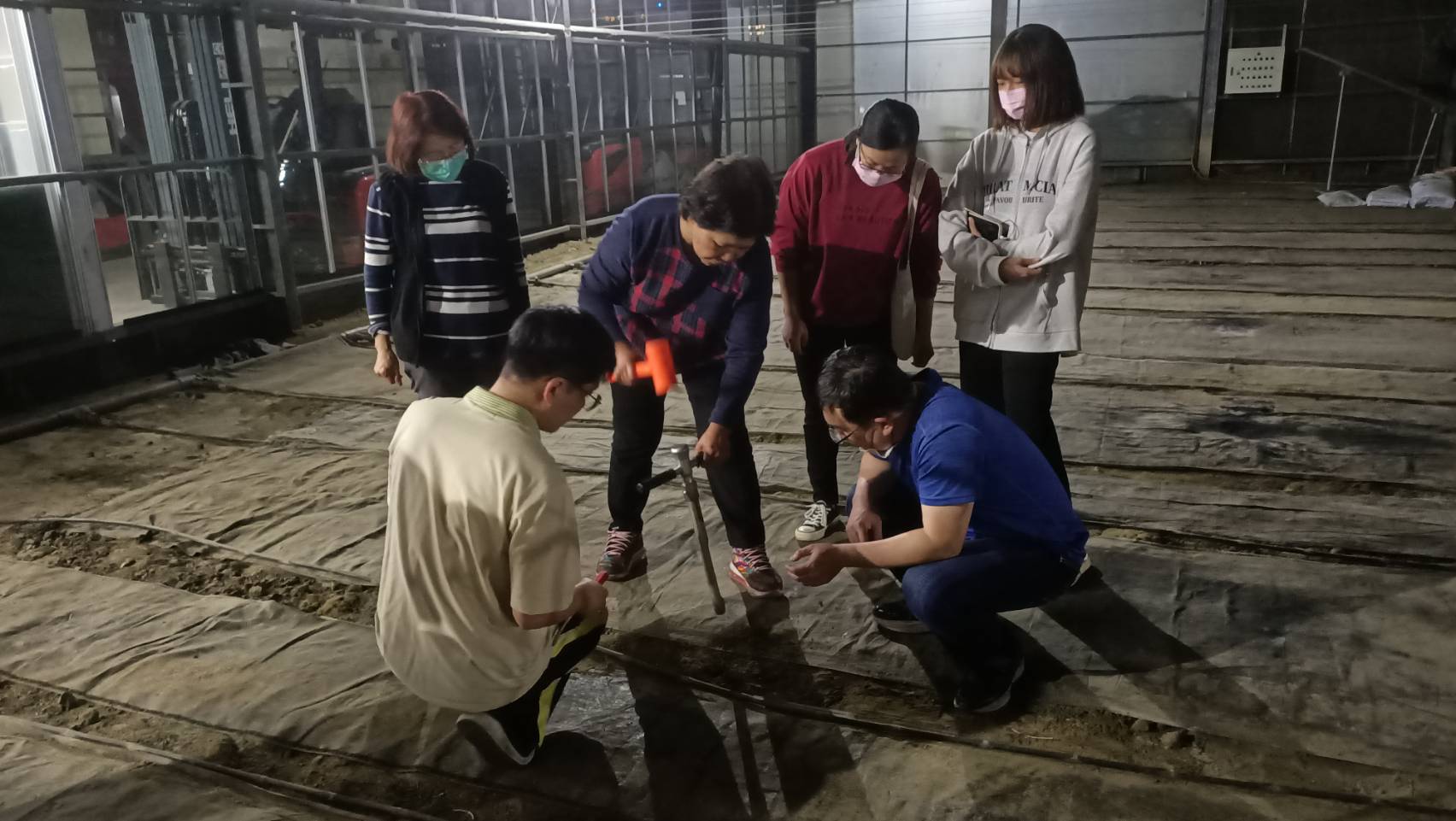 這是一張圖片